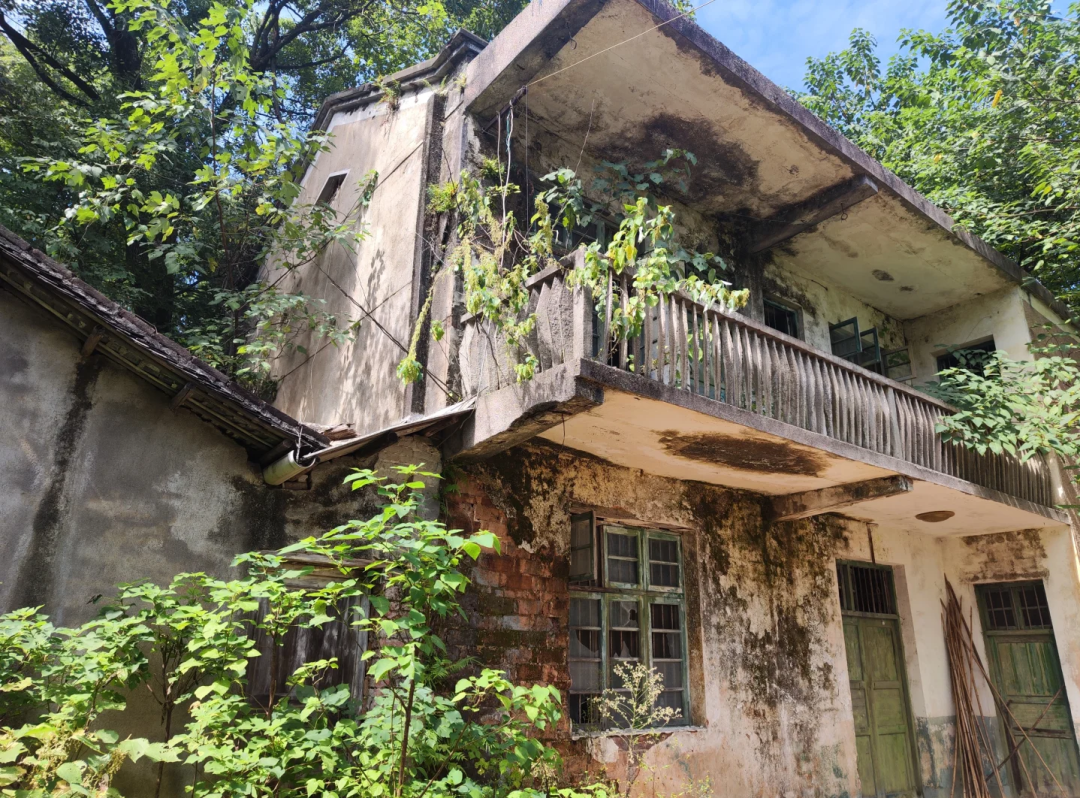 没人住的房子为啥