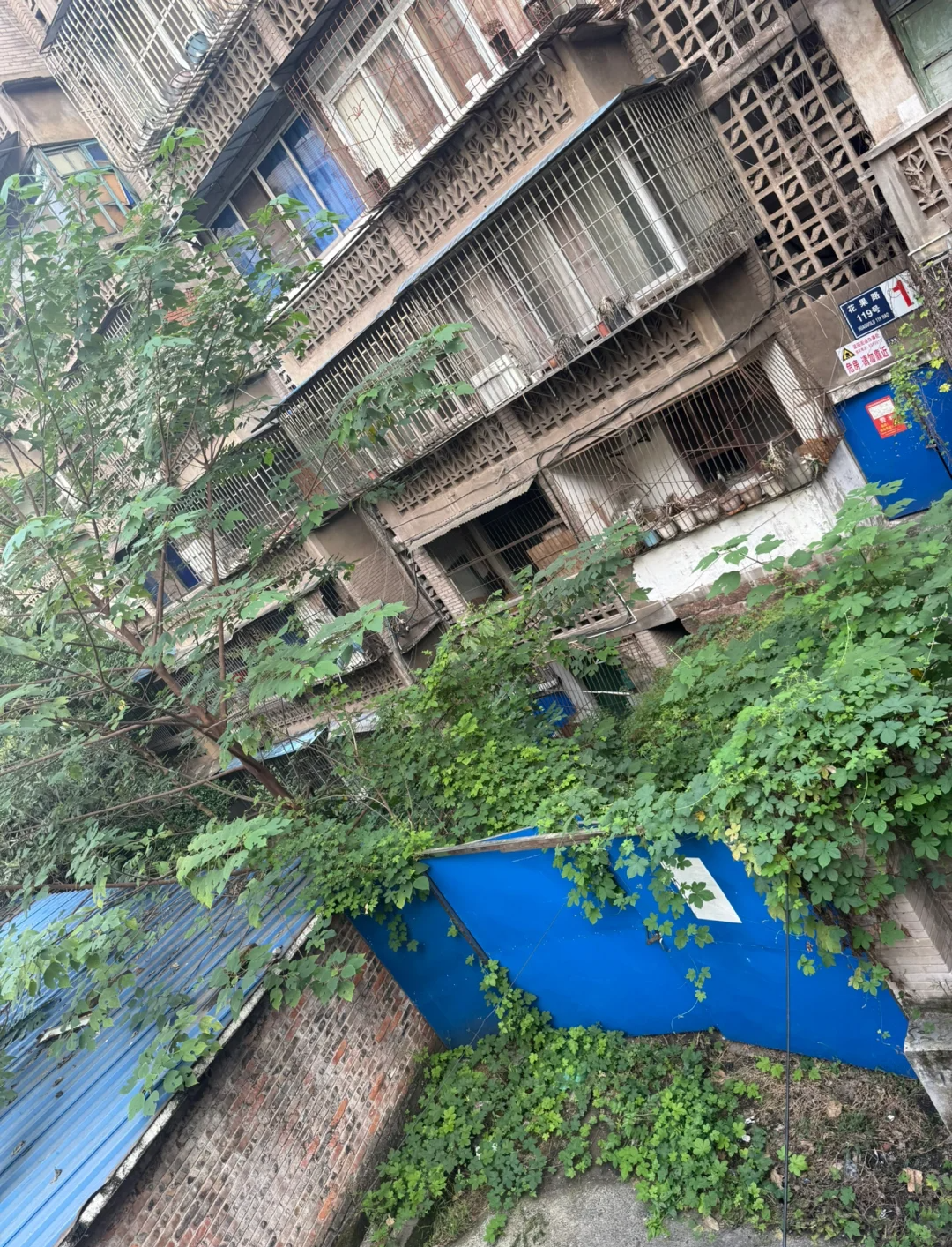 没人住的房子为啥