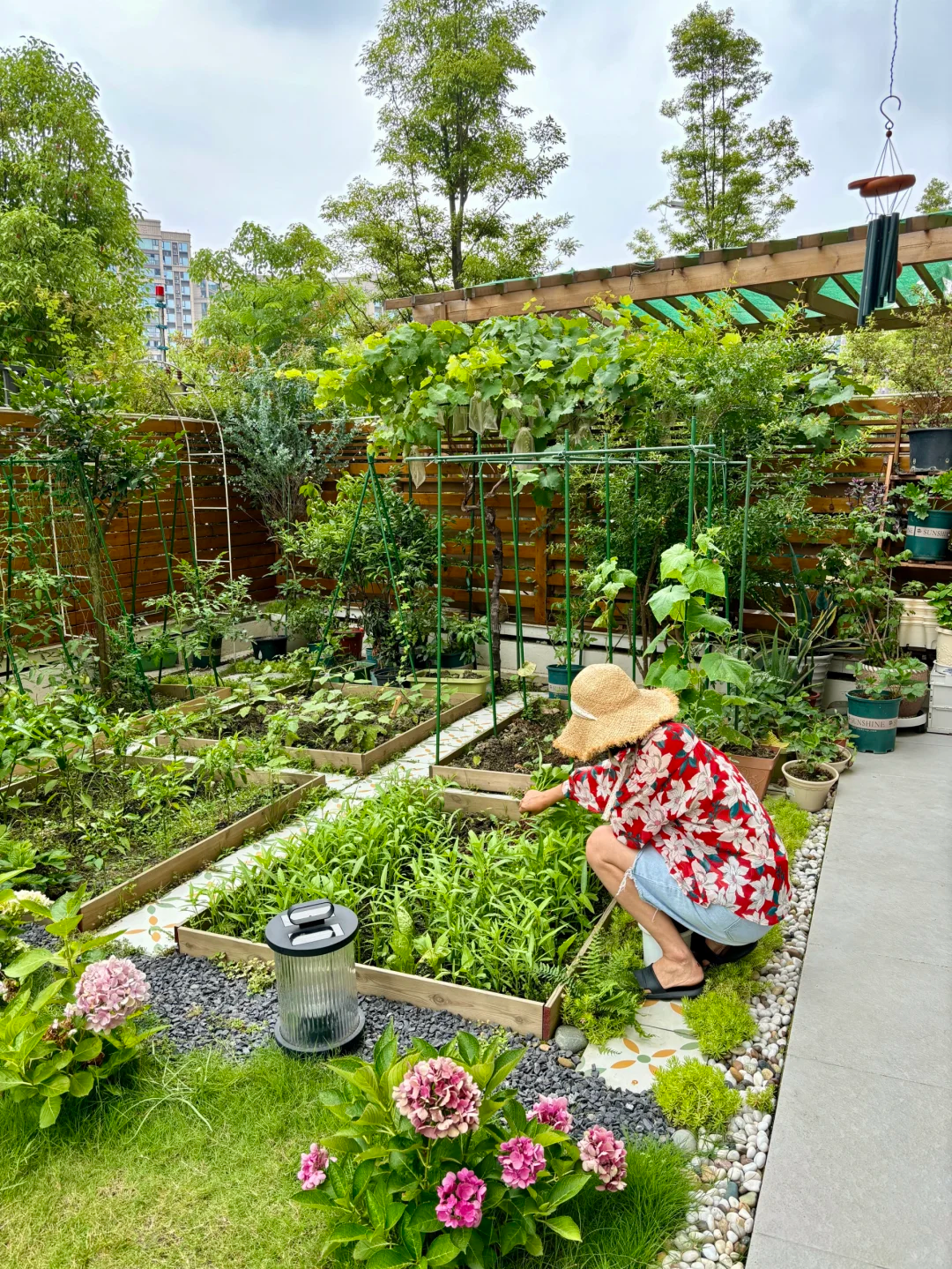 高层选多少层好