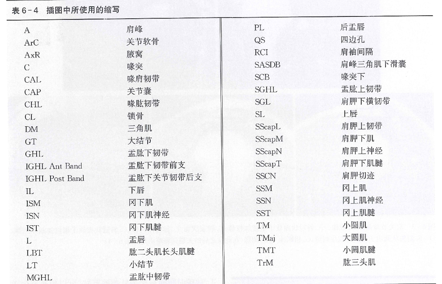 形肌、前锯肌、胸大肌、胸小肌、锁骨下肌。（9）肩关节解剖常用英文缩写