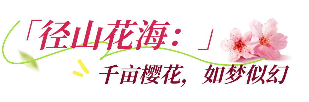 稿定设计-2.png