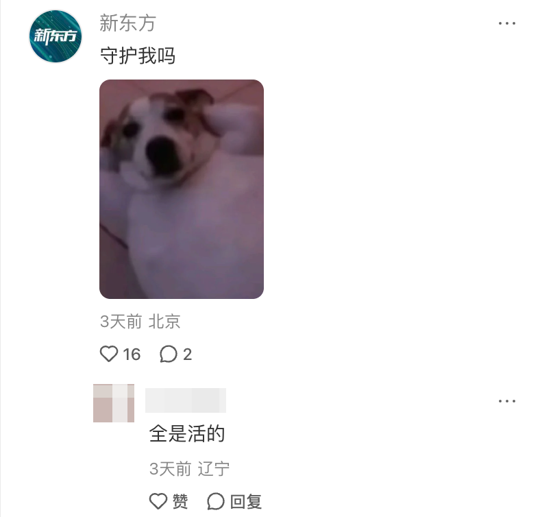 1792135743372386.png