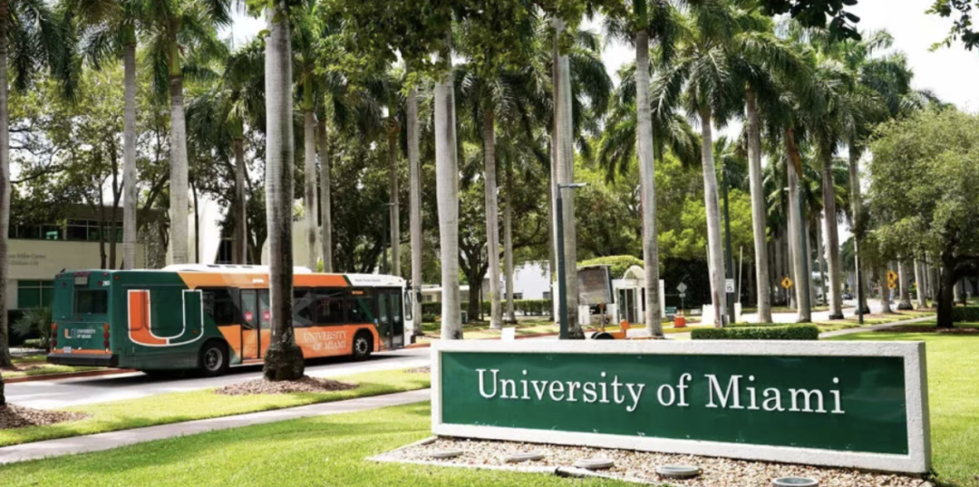 截屏2026-03-04 23.46.33.png