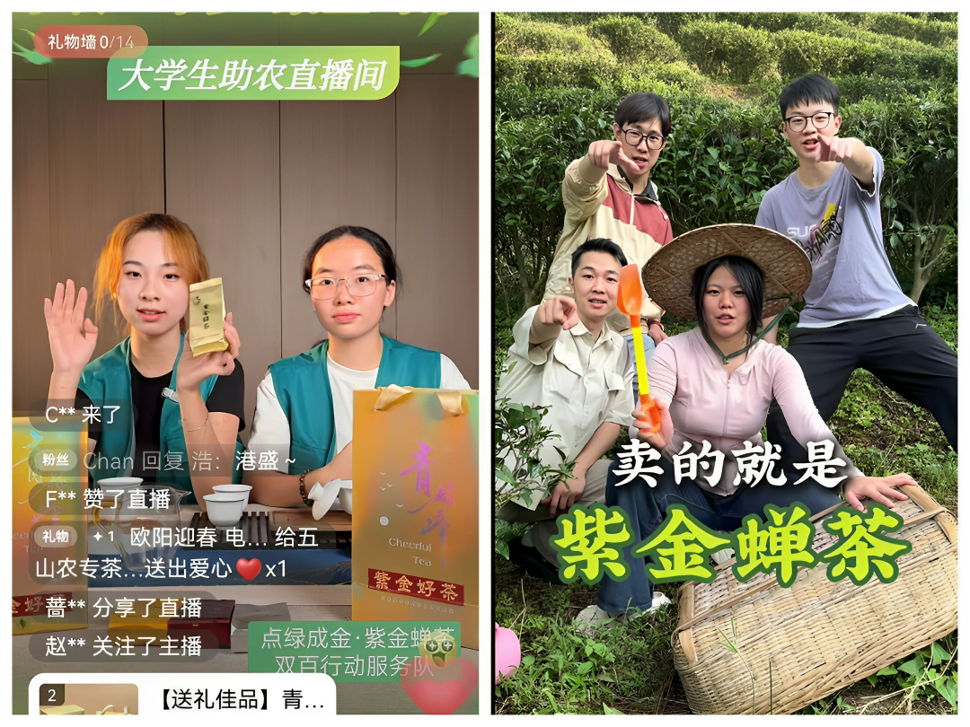 “点绿成金·紫金蝉茶双百行动”服务队通过直播带货、短视频运营等方式推广