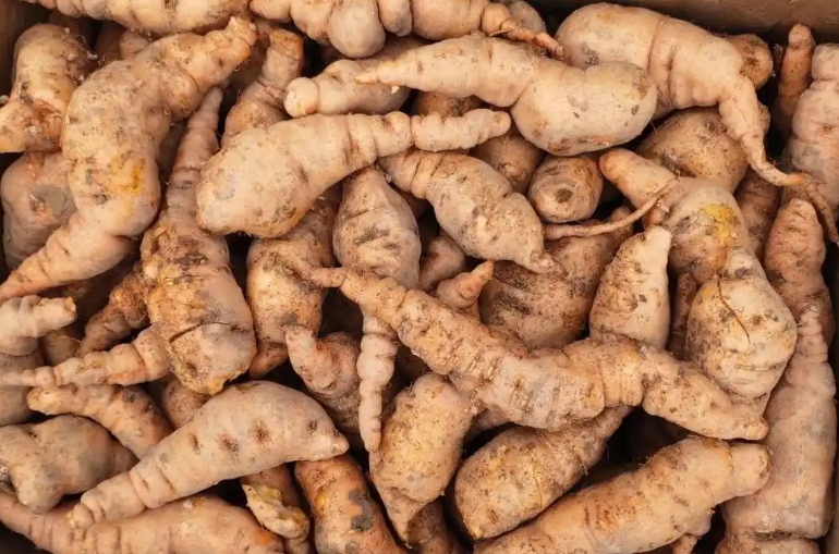 地黄终于涨价了:机会来了吗？