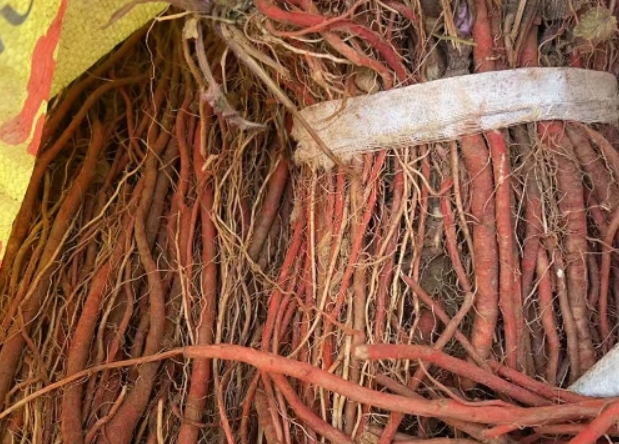 警惕！这药材短期反弹只是“假象”，后市还要跌？