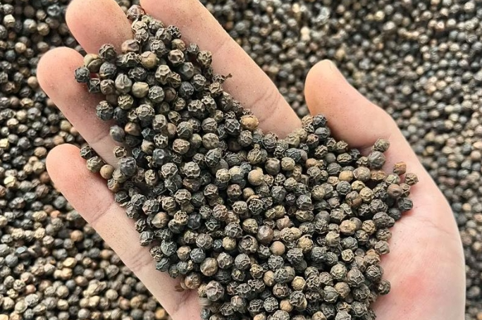 香料药材涨跌榜：胡椒强势领涨，这两品种持续走弱