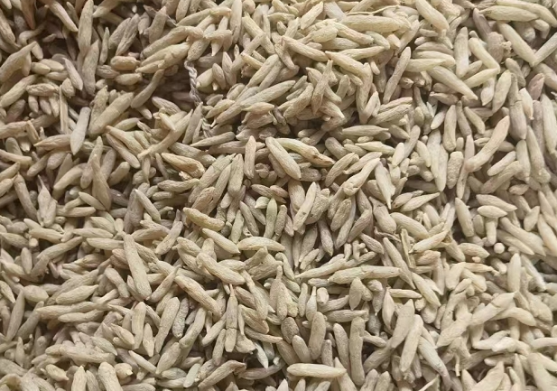 行情屹立不倒:四大药材品种成市场黑马