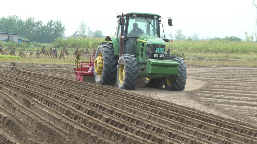 “萝卜书记”吴炎奎：千亩萝卜映红致富路.doc