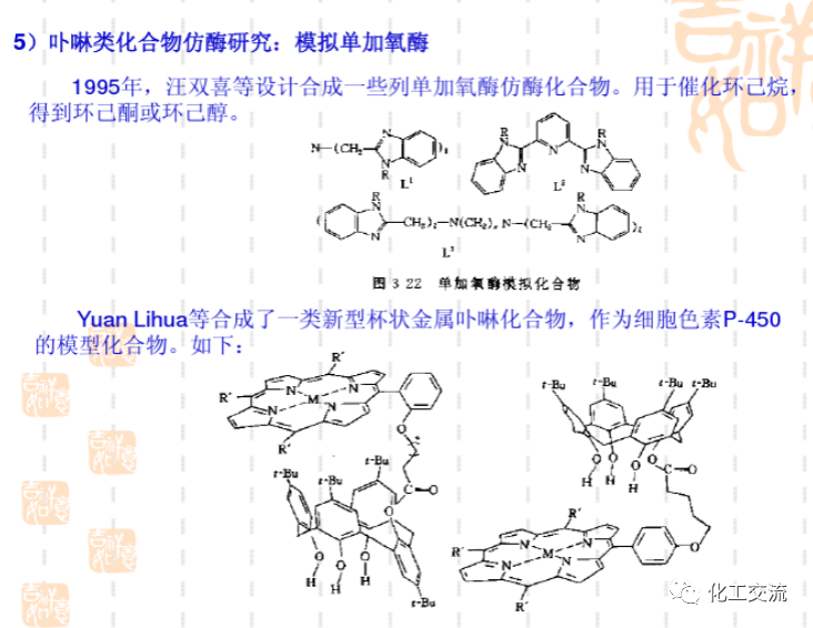 綠色催化的技術PPT的圖16