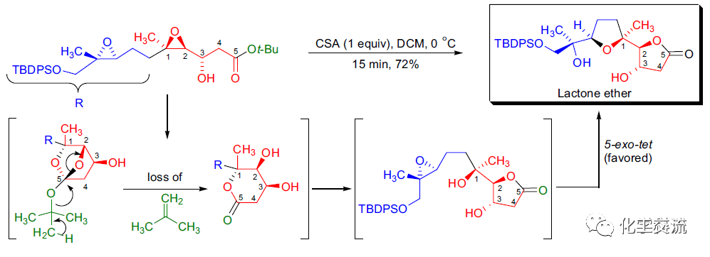环化反应的endo和exo，你知道多少？的图9