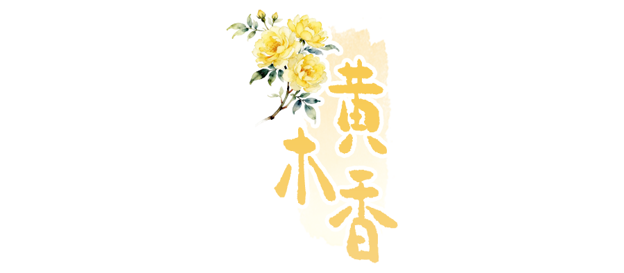 c15c905b911d34aa500df60fa0a7e3a9.png