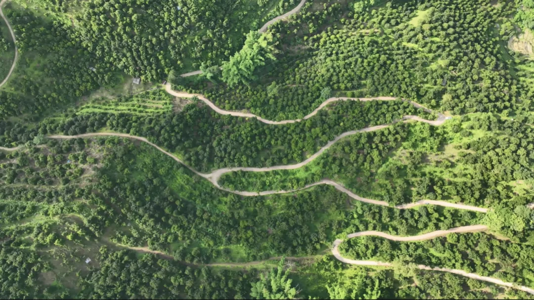 微信图片_20260227080506_1204_54.png