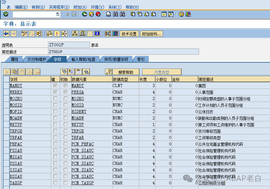 ABAP 协助模块顾问救火一例 - 封面图
