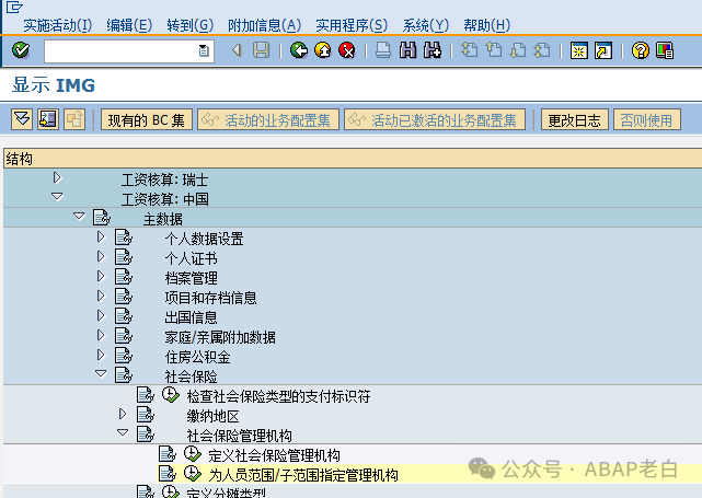 ABAP 协助模块顾问救火一例 - 封面图