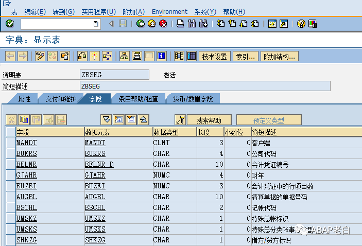 ECC 的福音用自定义表提高 BSEG 取数性能 - 封面图