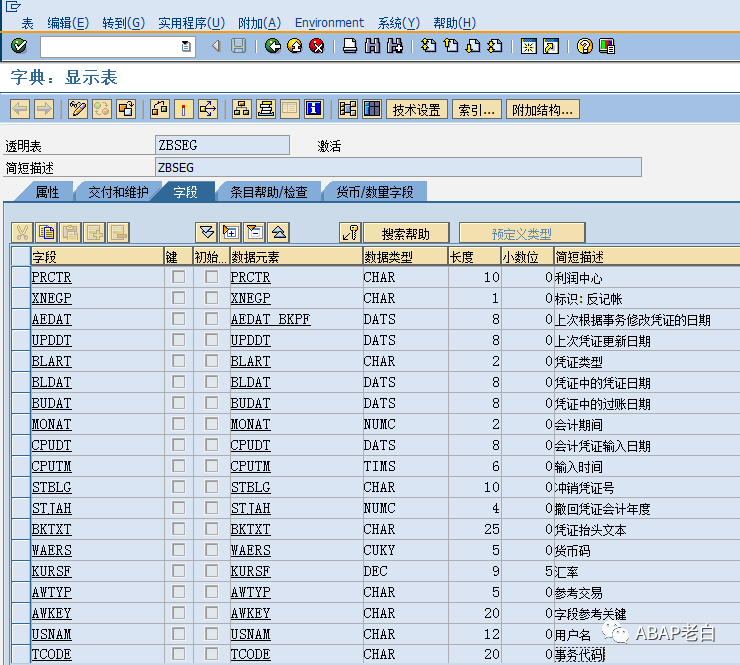 ECC 的福音用自定义表提高 BSEG 取数性能 - 封面图