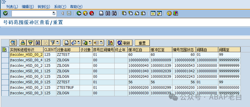 SAP 编号范围 Number Range 的缓冲 - 封面图