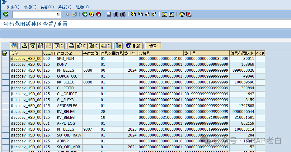 SAP 编号范围 Number Range 的缓冲 - 封面图