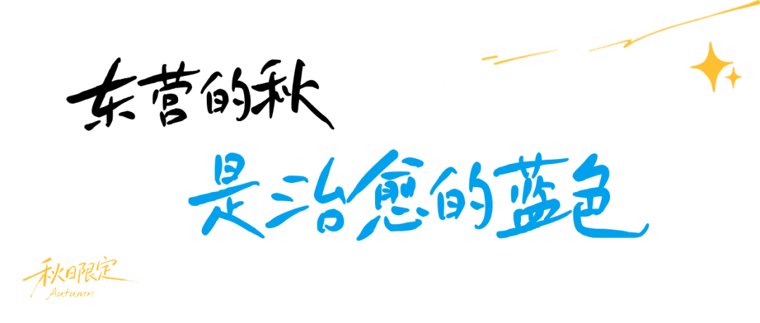 图文风秋日生活晒照记录plog__2026-08-27+11_37_37.png