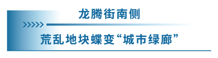 微信图片_20260513164555_2_237.png