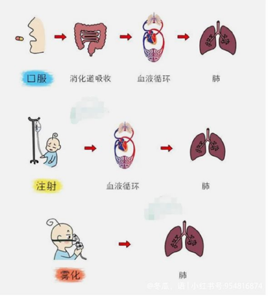 咬嘴雾化怎么呼吸【健康科普】雾化前后必看！让孩子舒适又高效的呼吸攻略_https://www.jmylbn.com_新闻资讯_第11张