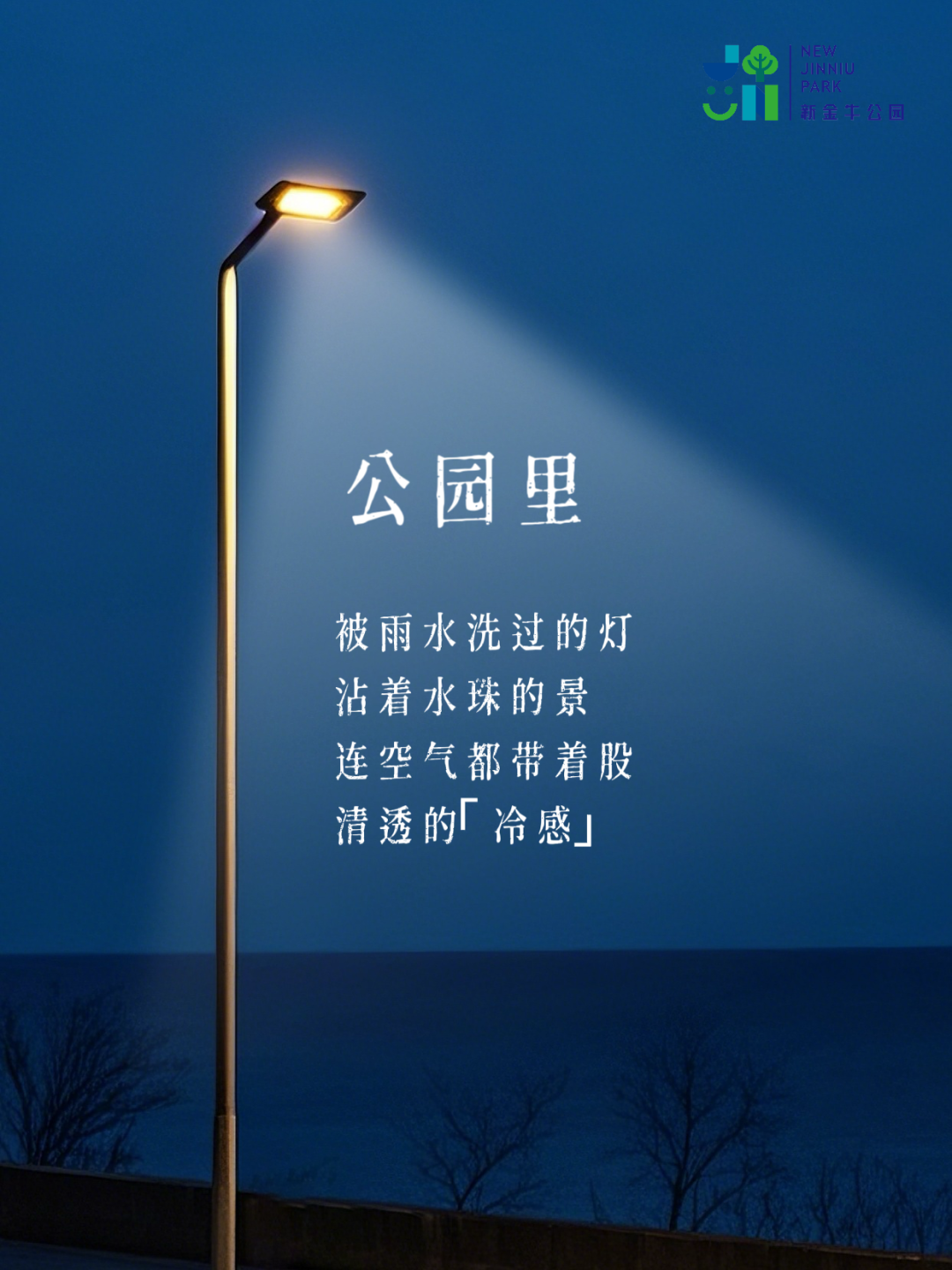 新金牛公园的夜，邀你赴一场「追光之约」插图1