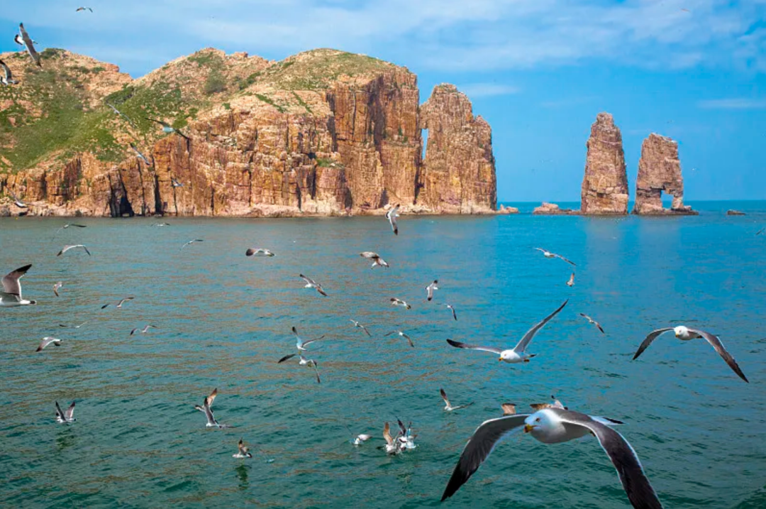 长岛船票多少钱一张_长岛船票_长岛船票区别