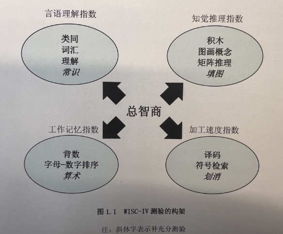 智力.png