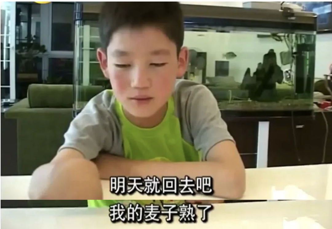 《变形记》主人公高占喜订婚，“我的麦子熟了” 这句话，曾让无数人落泪