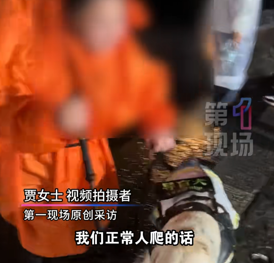 两名盲人带导盲犬爬泰山引争议