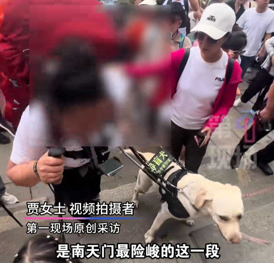 两名盲人带导盲犬爬泰山引争议