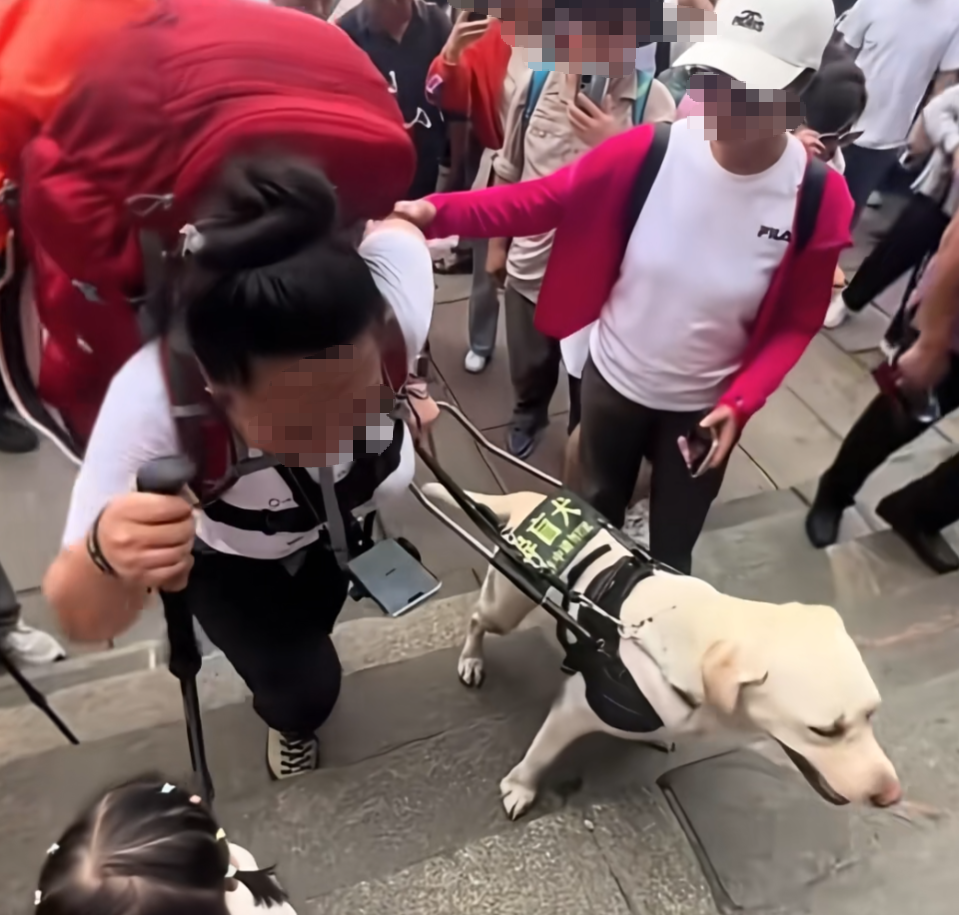 两名盲人带导盲犬爬泰山引争议