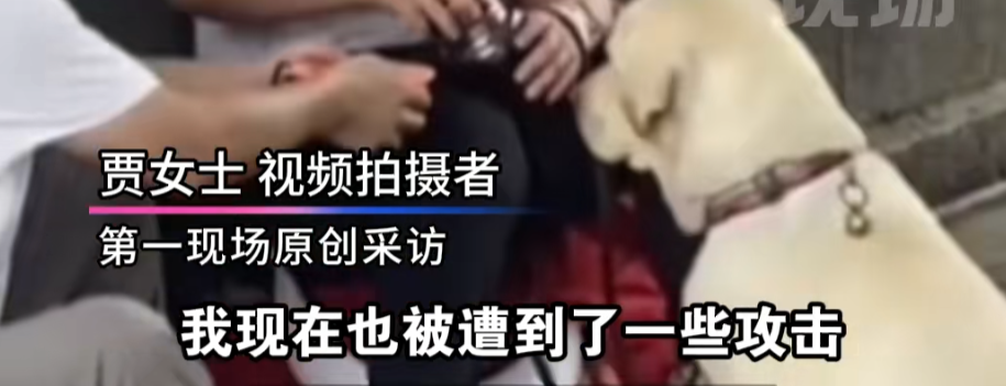 两名盲人带导盲犬爬泰山引争议