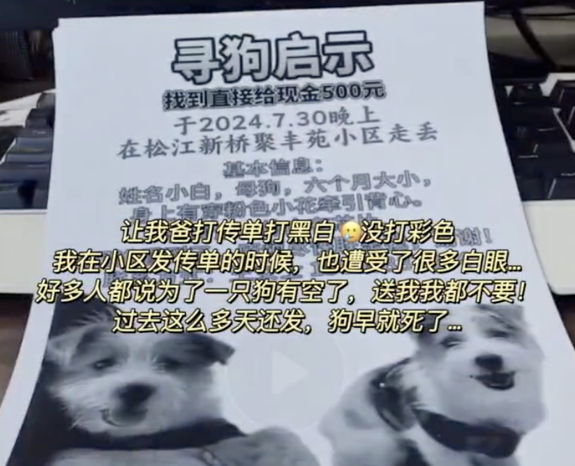 上海小狗走丢6天在浙江找回！过程曲折，中间还走丢了3次