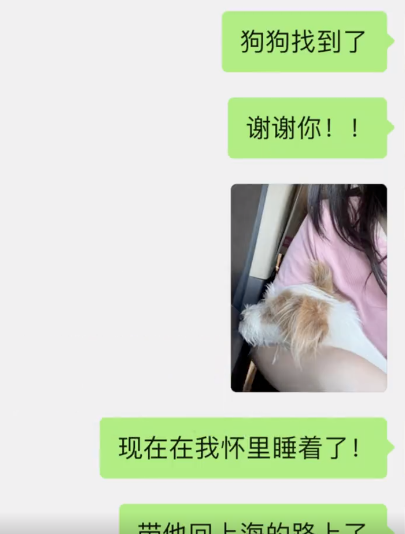 上海小狗走丢6天在浙江找回！过程曲折，中间还走丢了3次