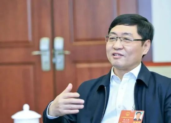 龙腾四海9位龙年出生的钢铁大佬高管