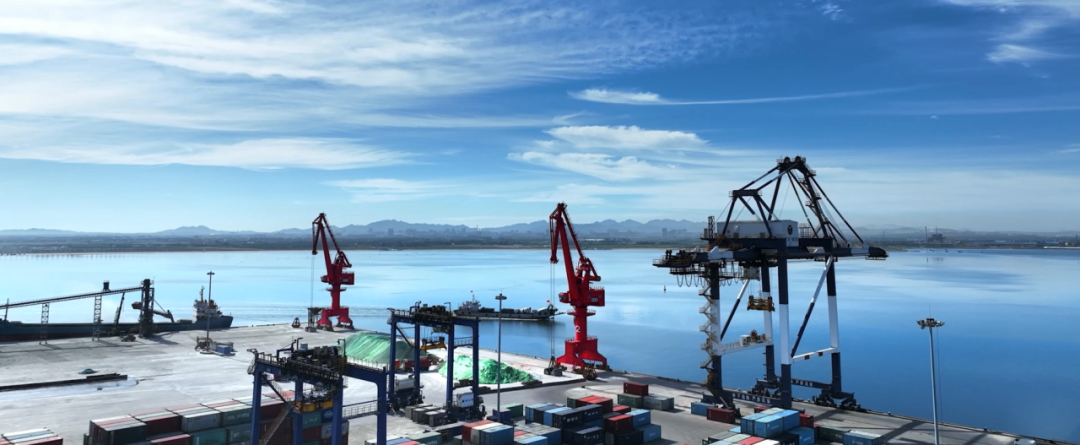 莱州赴外“敲门”！这次，大有“看头”