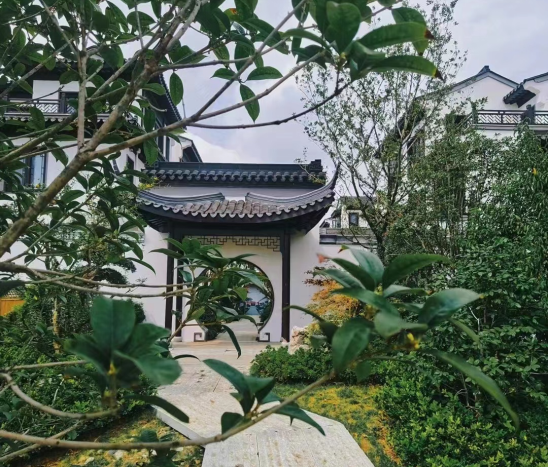 【大浦·田园居】叶落纷纷,江城最美的秋色,都藏在这个院子里-芜湖