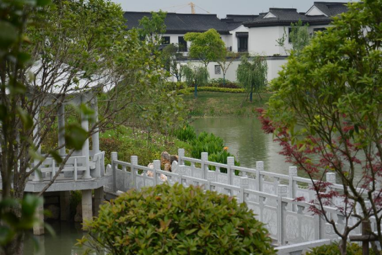 大浦·田园居丨秋分至,小镇生活恰如其分-芜湖楼盘网