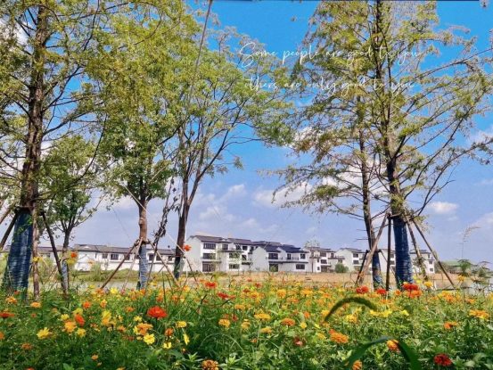 大浦·田园居丨秋分至,小镇生活恰如其分-芜湖楼盘网