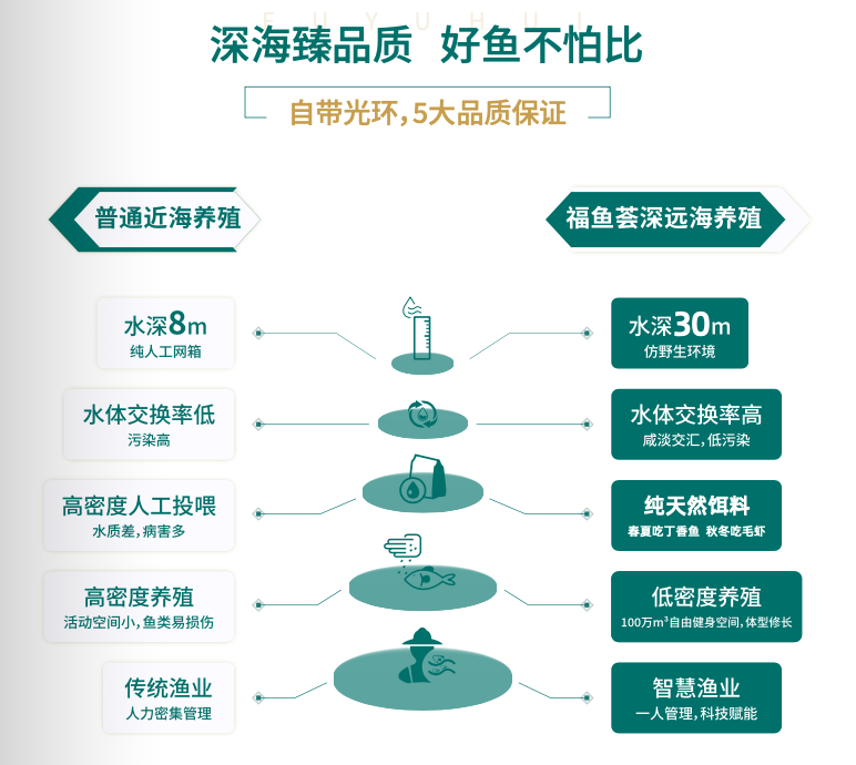 闽味100｜这个“最佳食材”，谱写着连江定海湾的“国鱼”传奇