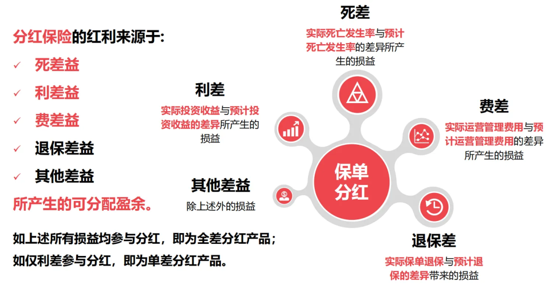 一生中意分红险分红来源