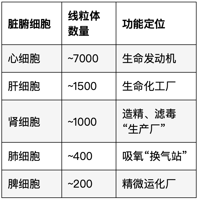 当代岐黄医理科学解读（十一）：现代科学如何印证“肾主纳气”(图1)