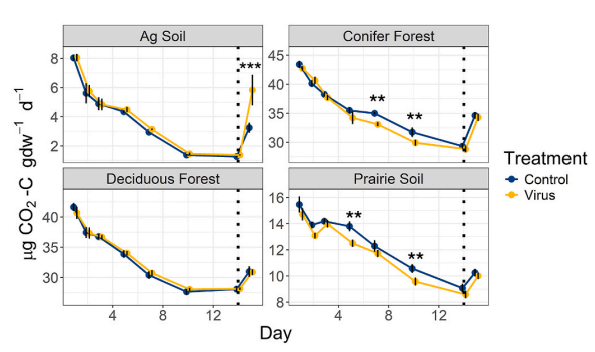 BB｜13C葡萄糖培養(yǎng)實(shí)驗(yàn)，揭示病毒豐度增加對(duì)生態(tài)系統(tǒng)土壤碳循環(huán)的影響