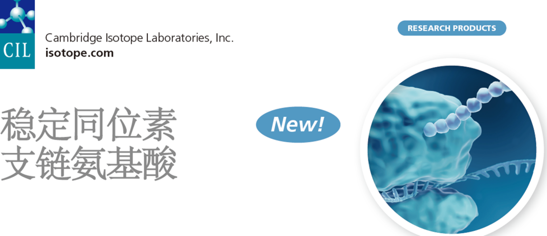 缺乏谷氨酰胺條件下，支鏈氨基酸分解代謝影響肝細胞癌進展機制