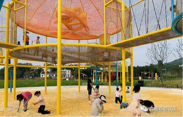 安徽网>资讯中心>政务>在清澈的小池塘里欢乐地摸鱼,找寻儿时的童趣.