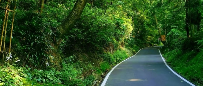 深呼吸露营基地,露营烧烤,露营烤肉,啤酒,露营KTV