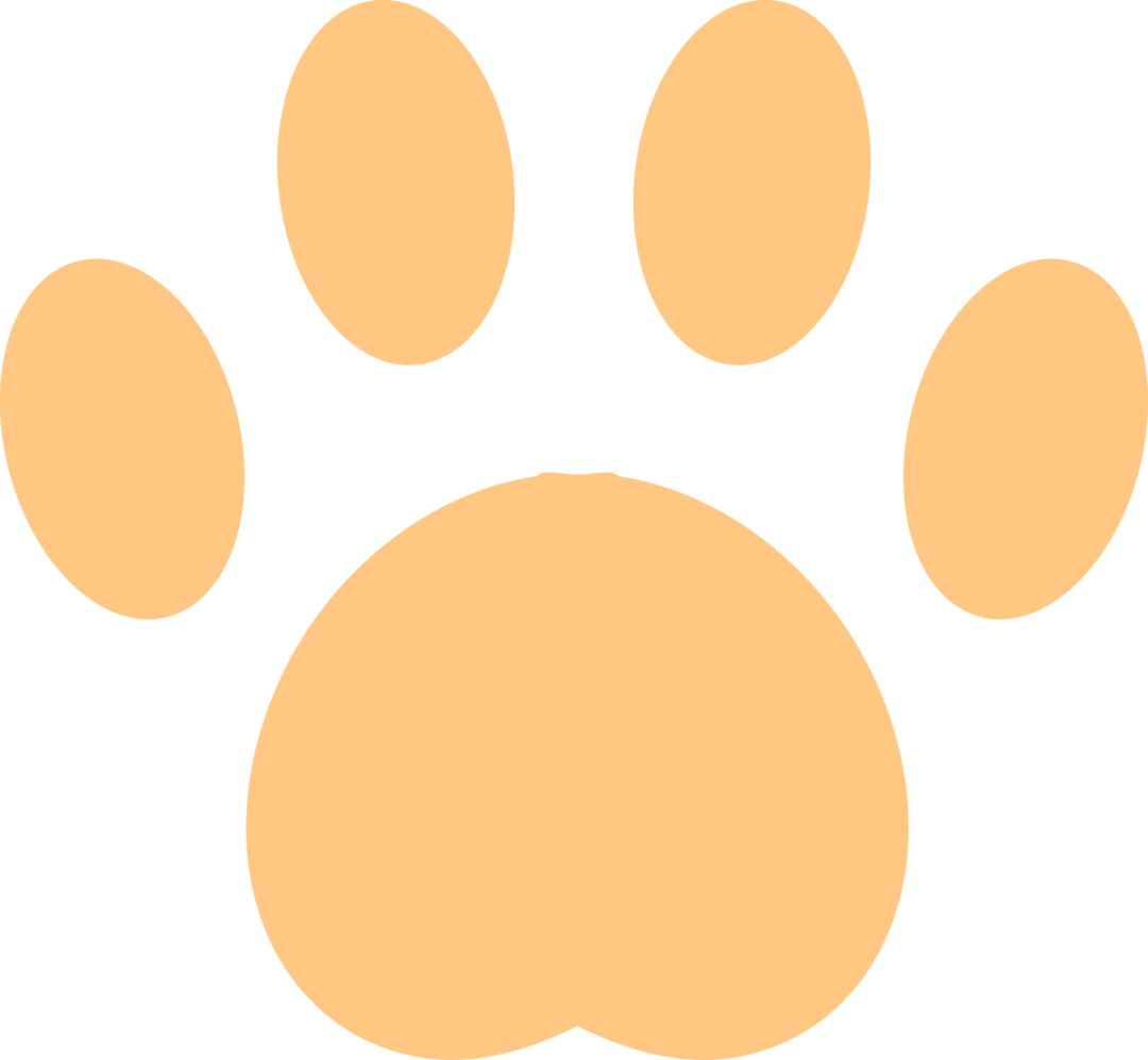 小猫把自己给弹出去了