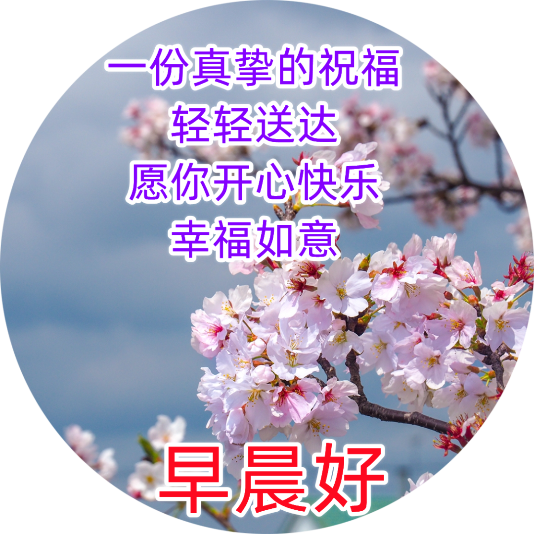 真心问候朋友早上好说说图片 大家早上好幸福健康祝福句子-旺易创业